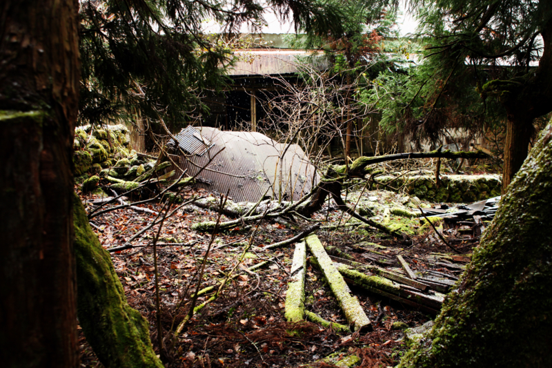 http://cdn-ak.f.st-hatena.com/images/fotolife/M/MAREOSIEV/20101230/20101230105204.jpg
