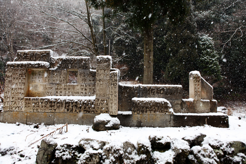 f:id:MAREOSIEV:20101230110924j:image