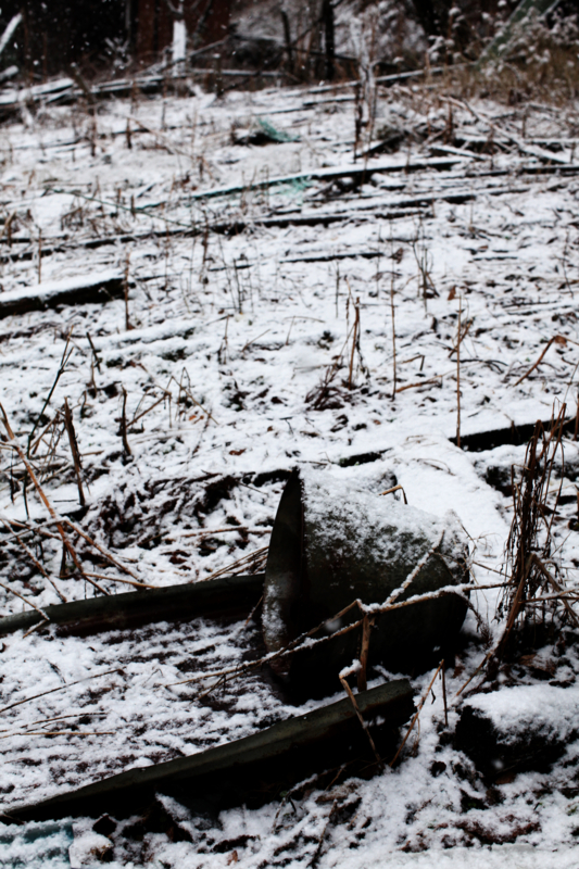 f:id:MAREOSIEV:20101230111200j:image