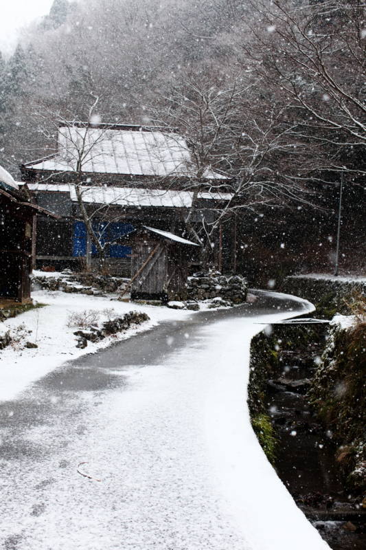 f:id:MAREOSIEV:20101230111401j:image