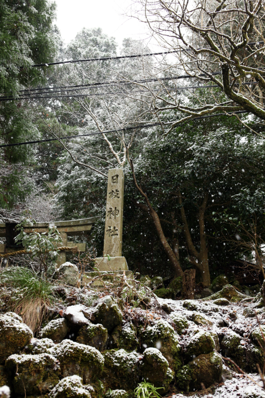 f:id:MAREOSIEV:20101230112053j:image