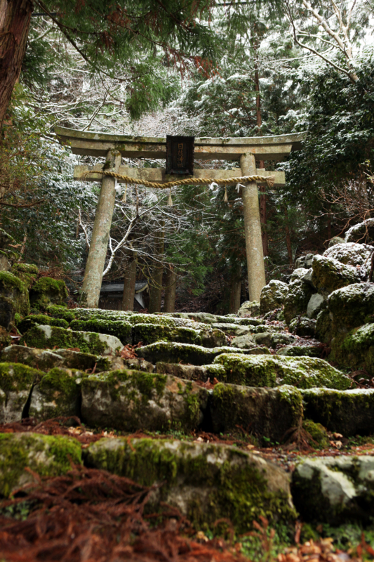 f:id:MAREOSIEV:20101230112118j:image