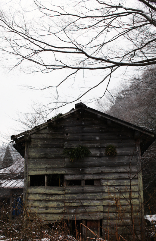 f:id:MAREOSIEV:20101230113613j:image