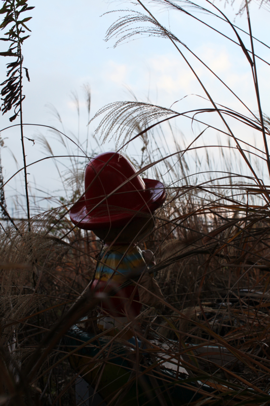 f:id:MAREOSIEV:20101230160147j:image f:id:MAREOSIEV:20101230160147j:image