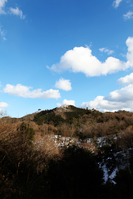 f:id:MAREOSIEV:20110130152018j:image