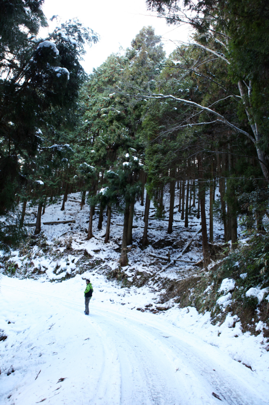 f:id:MAREOSIEV:20110130152456j:image