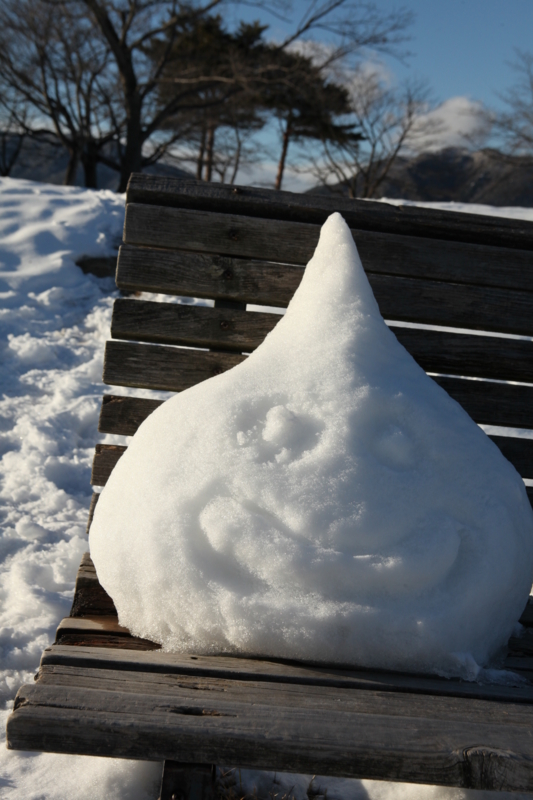 f:id:MAREOSIEV:20110130155630j:image