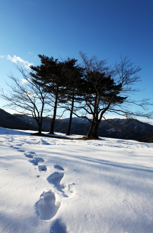 f:id:MAREOSIEV:20110130155749j:image