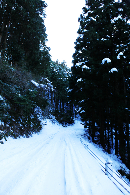 f:id:MAREOSIEV:20110130164018j:image