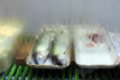 20110528214228
