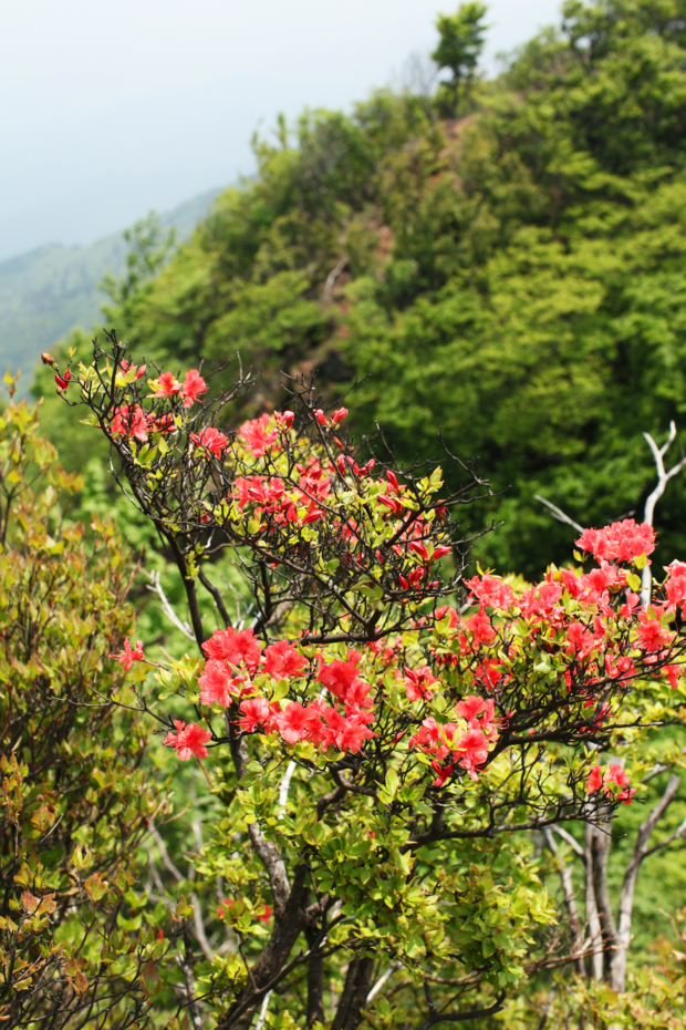 f:id:MAREOSIEV:20110604103156j:image