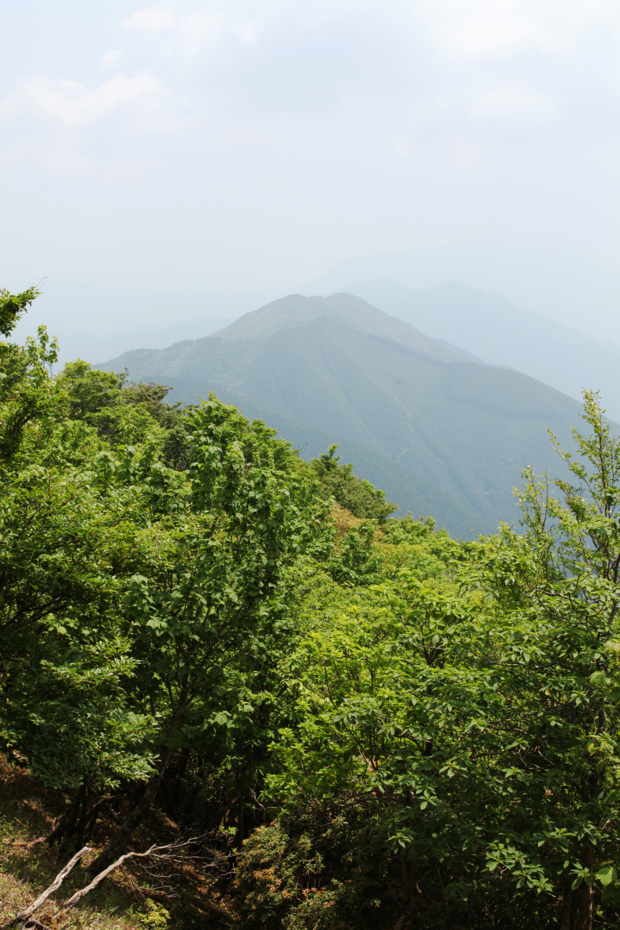 f:id:MAREOSIEV:20110604104819j:image