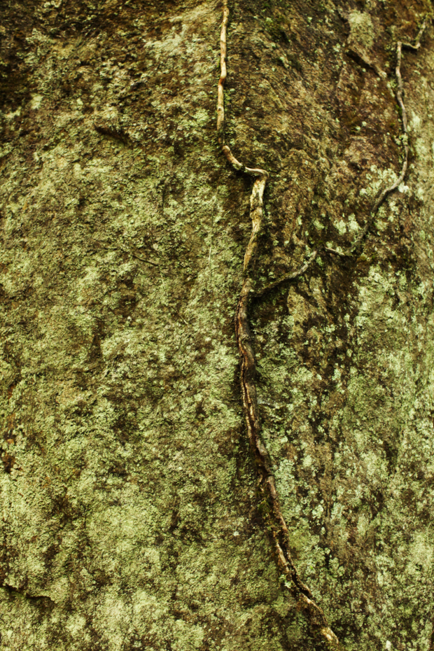 f:id:MAREOSIEV:20110604114606j:image