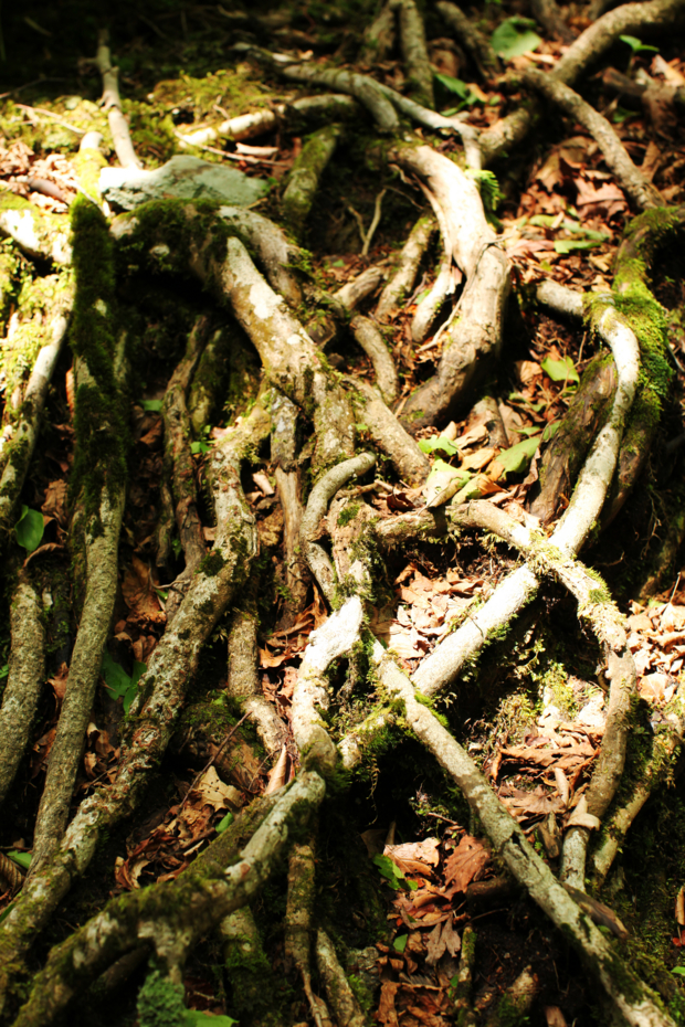 f:id:MAREOSIEV:20110604122430j:image