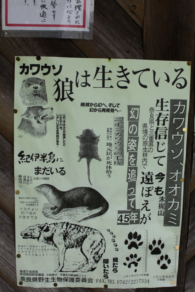 f:id:MAREOSIEV:20110604140912j:image