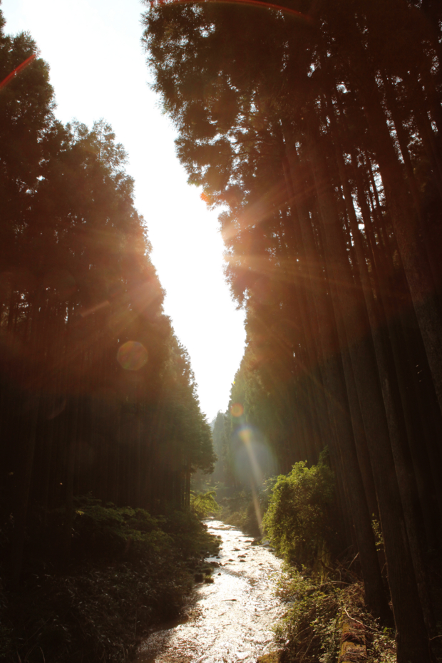 f:id:MAREOSIEV:20110604161620j:image
