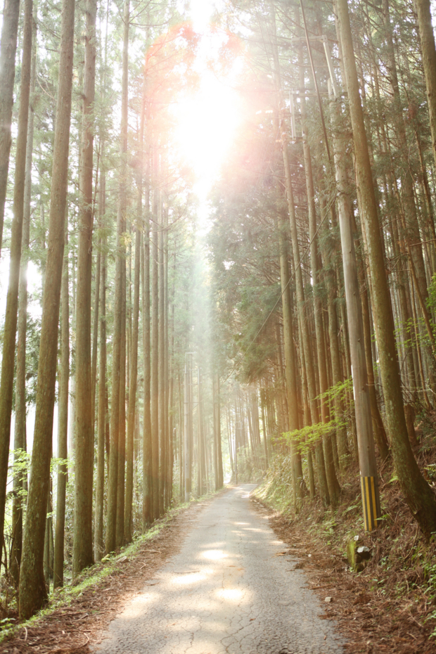 f:id:MAREOSIEV:20110604161716j:image