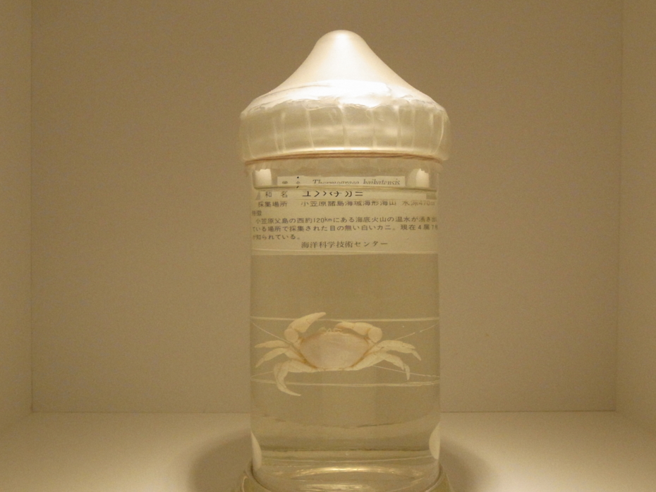 f:id:MAREOSIEV:20110806145426j:image