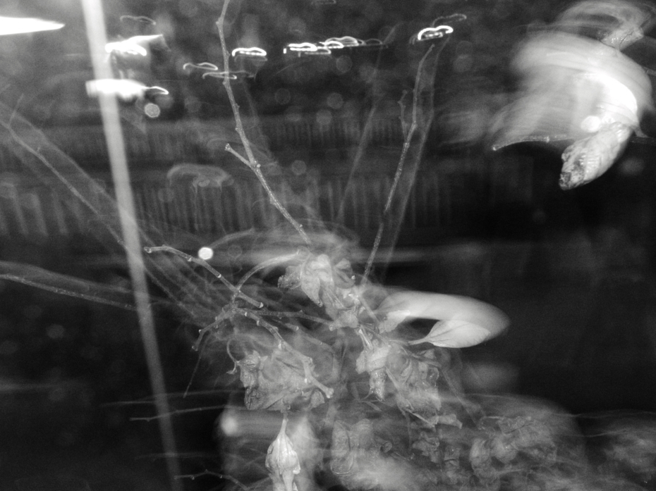 http://cdn-ak.f.st-hatena.com/images/fotolife/M/MAREOSIEV/20111204/20111204002202.jpg