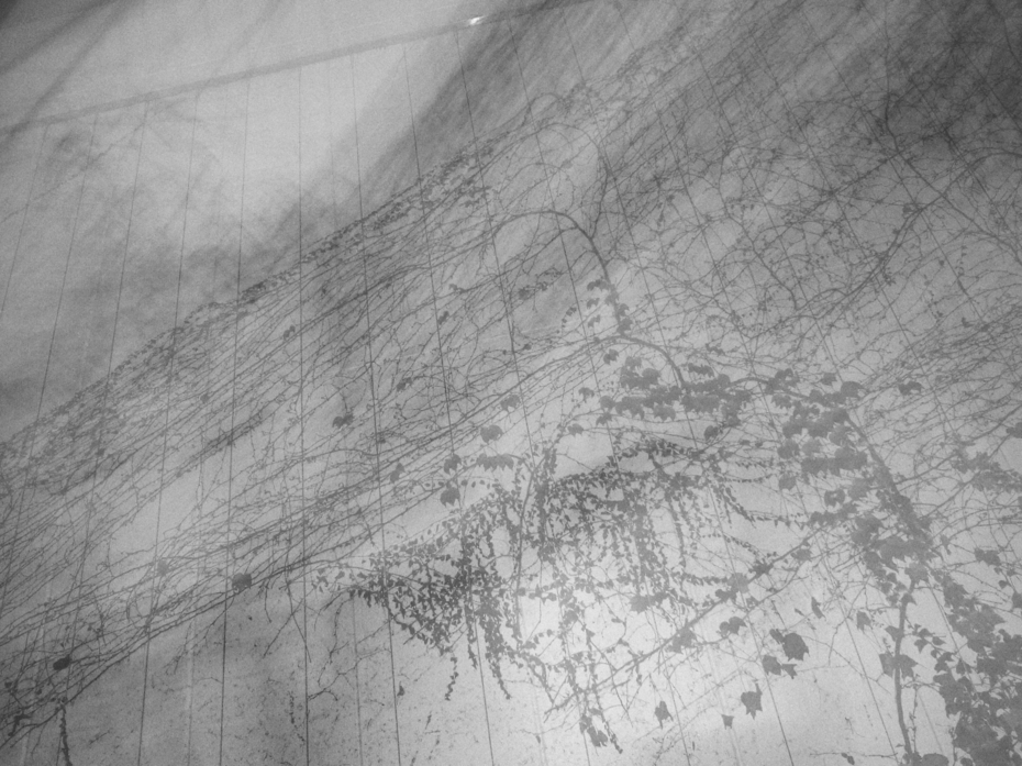 http://cdn-ak.f.st-hatena.com/images/fotolife/M/MAREOSIEV/20111204/20111204011451.jpg