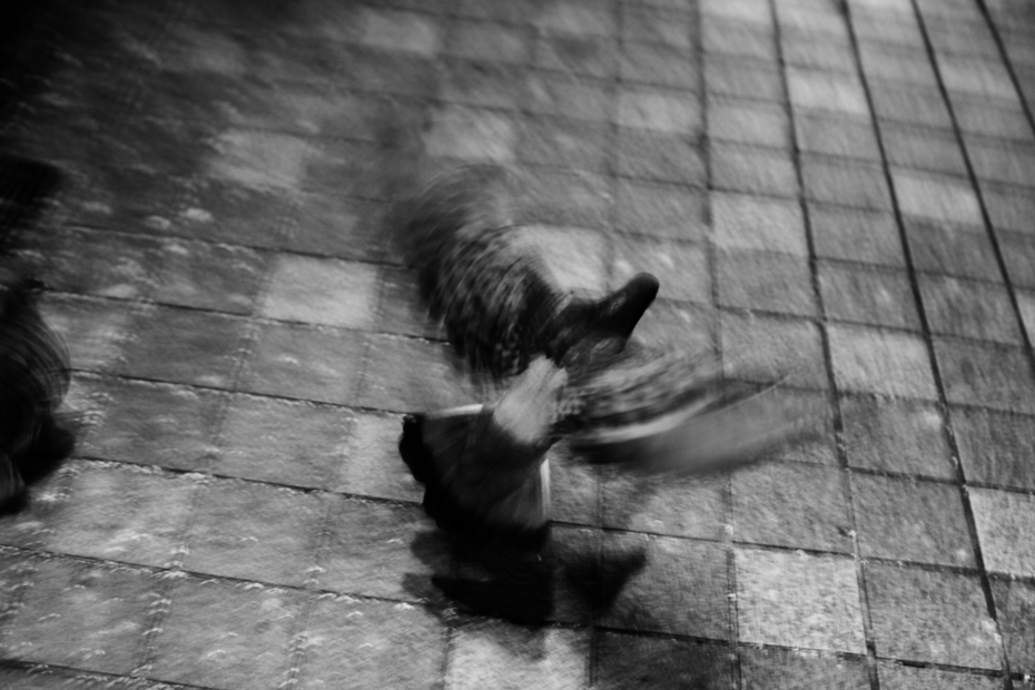 http://cdn-ak.f.st-hatena.com/images/fotolife/M/MAREOSIEV/20111204/20111204052437.jpg