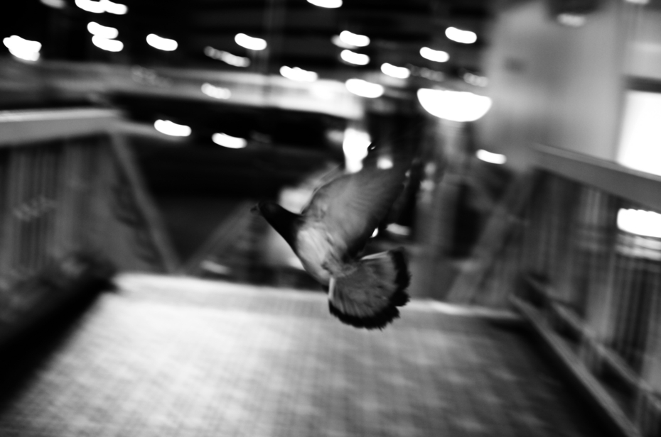 http://cdn-ak.f.st-hatena.com/images/fotolife/M/MAREOSIEV/20111204/20111204052446.jpg