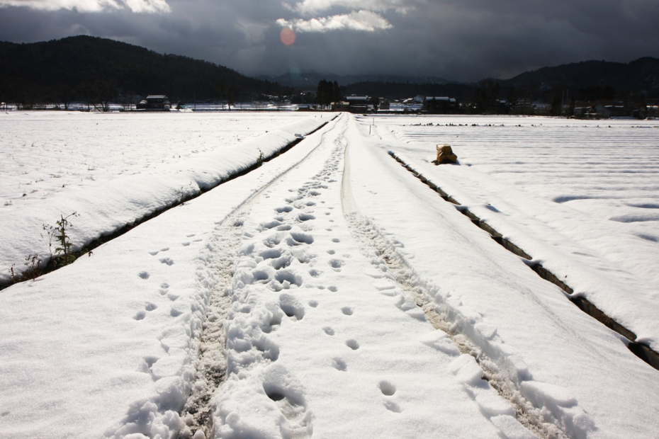 http://cdn-ak.f.st-hatena.com/images/fotolife/M/MAREOSIEV/20111230/20111230105138.jpg