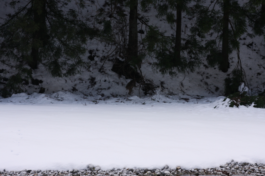 http://cdn-ak.f.st-hatena.com/images/fotolife/M/MAREOSIEV/20111230/20111230111146.jpg