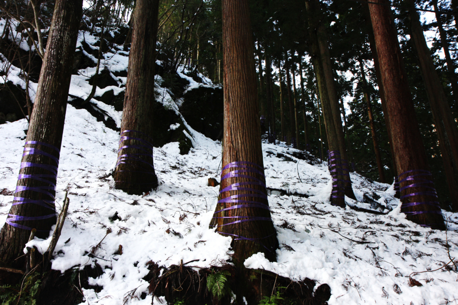 http://cdn-ak.f.st-hatena.com/images/fotolife/M/MAREOSIEV/20111230/20111230112201.jpg