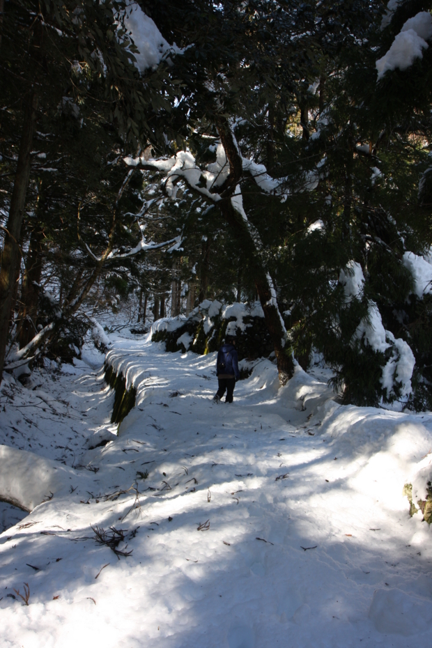 f:id:MAREOSIEV:20111230114156j:image f:id:MAREOSIEV:20111230114156j:image