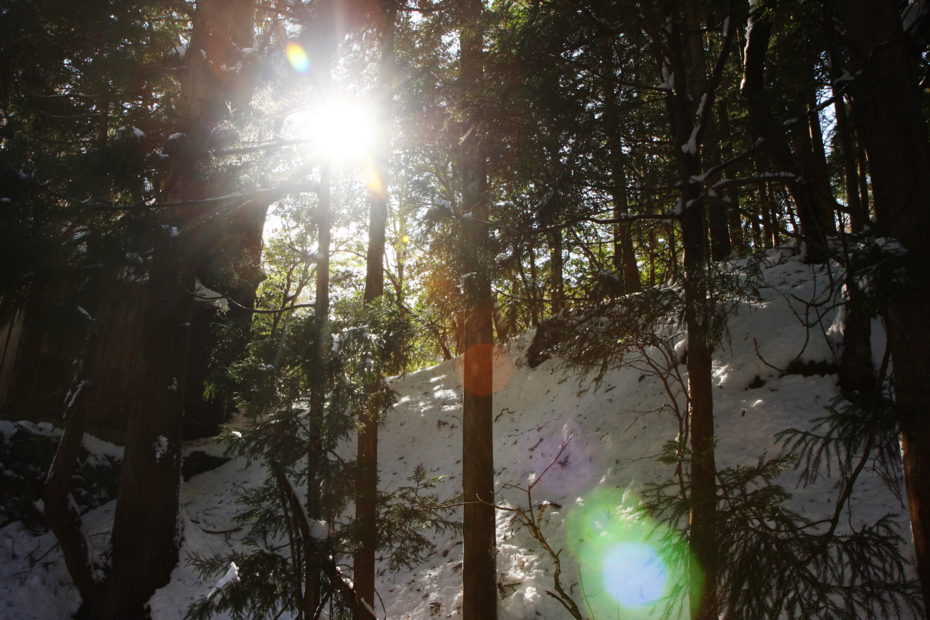 http://cdn-ak.f.st-hatena.com/images/fotolife/M/MAREOSIEV/20111230/20111230114212.jpg