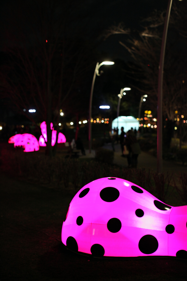 f:id:MAREOSIEV:20120325012655j:image
