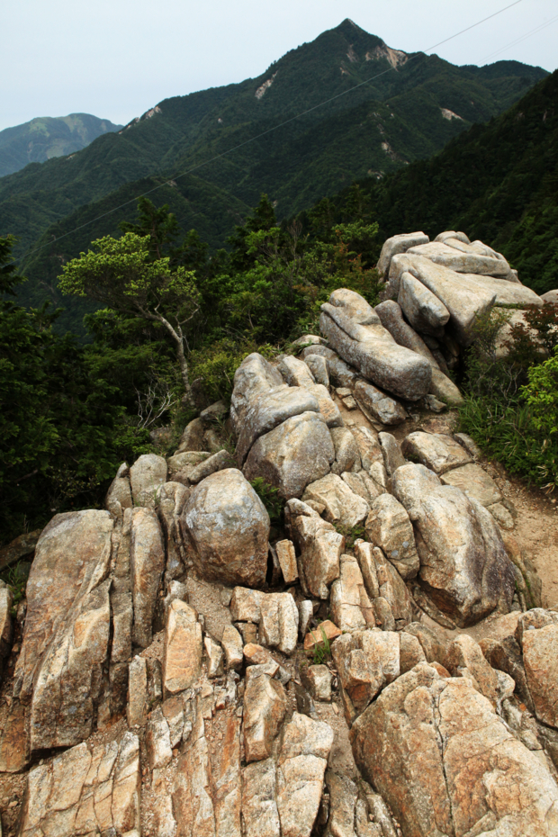 f:id:MAREOSIEV:20120624233519j:image