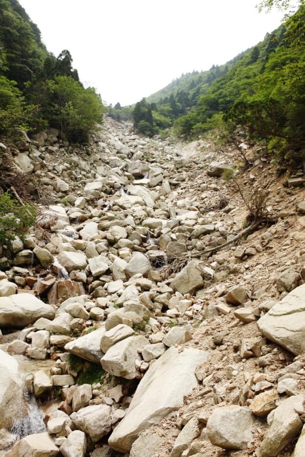 f:id:MAREOSIEV:20120625004040j:image