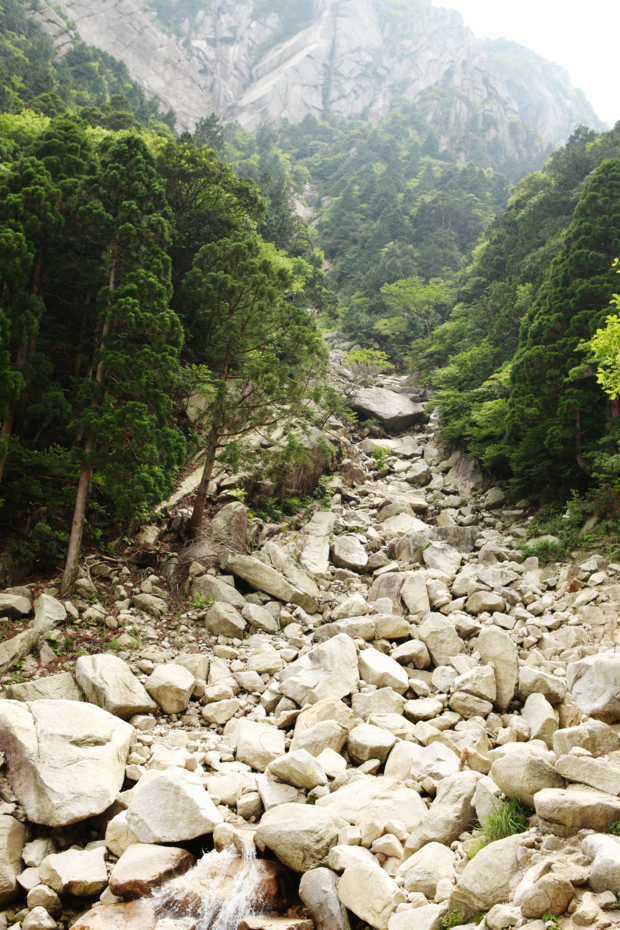 f:id:MAREOSIEV:20120625004043j:image