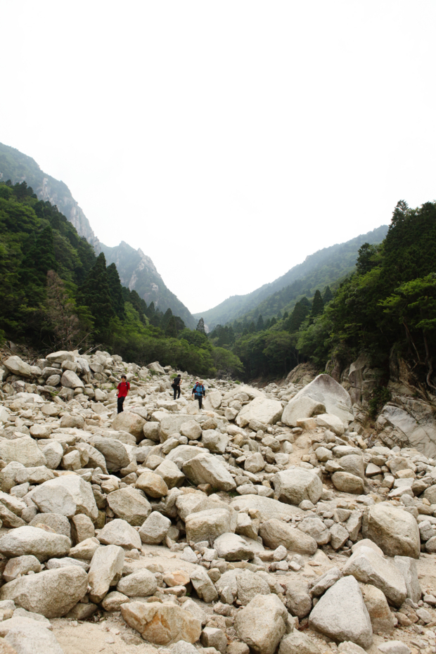 f:id:MAREOSIEV:20120625004049j:image