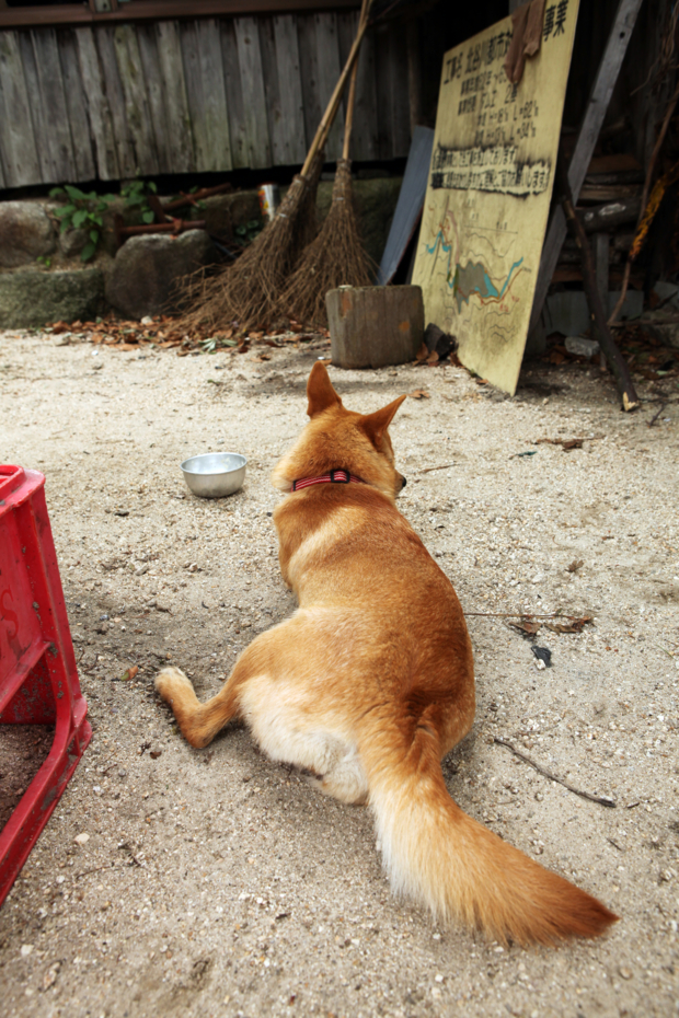 f:id:MAREOSIEV:20120625004103j:image