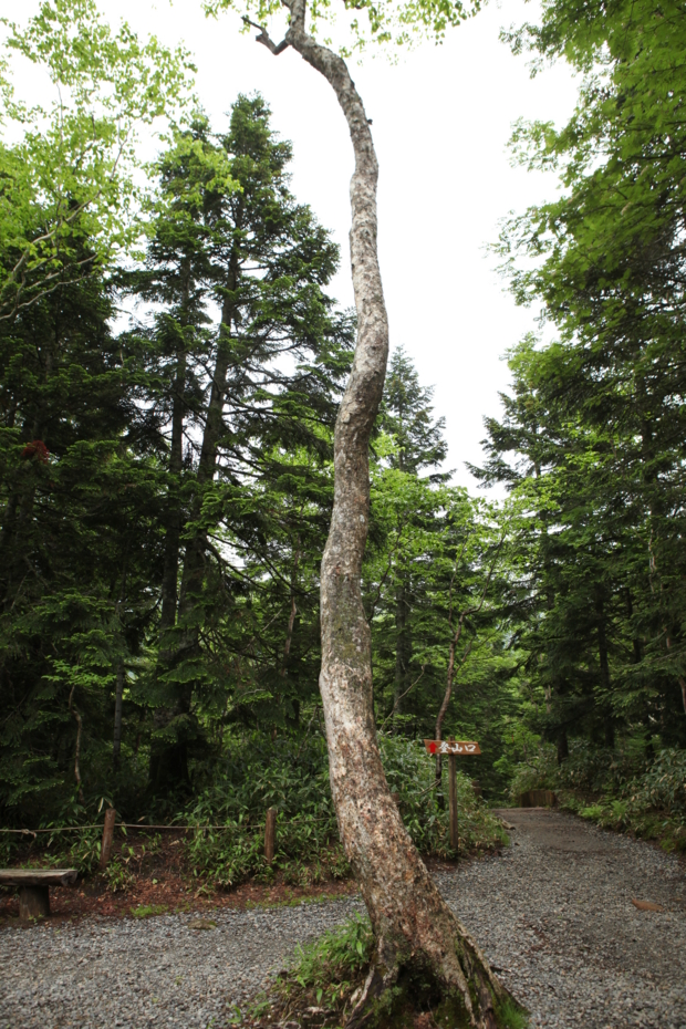 f:id:MAREOSIEV:20120717220340j:image