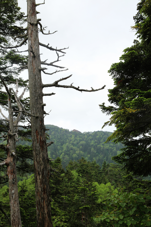 f:id:MAREOSIEV:20120717220348j:image