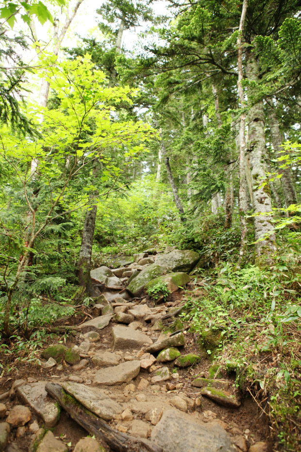 f:id:MAREOSIEV:20120717220353j:image