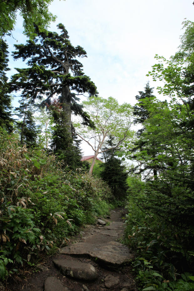 f:id:MAREOSIEV:20120717220356j:image