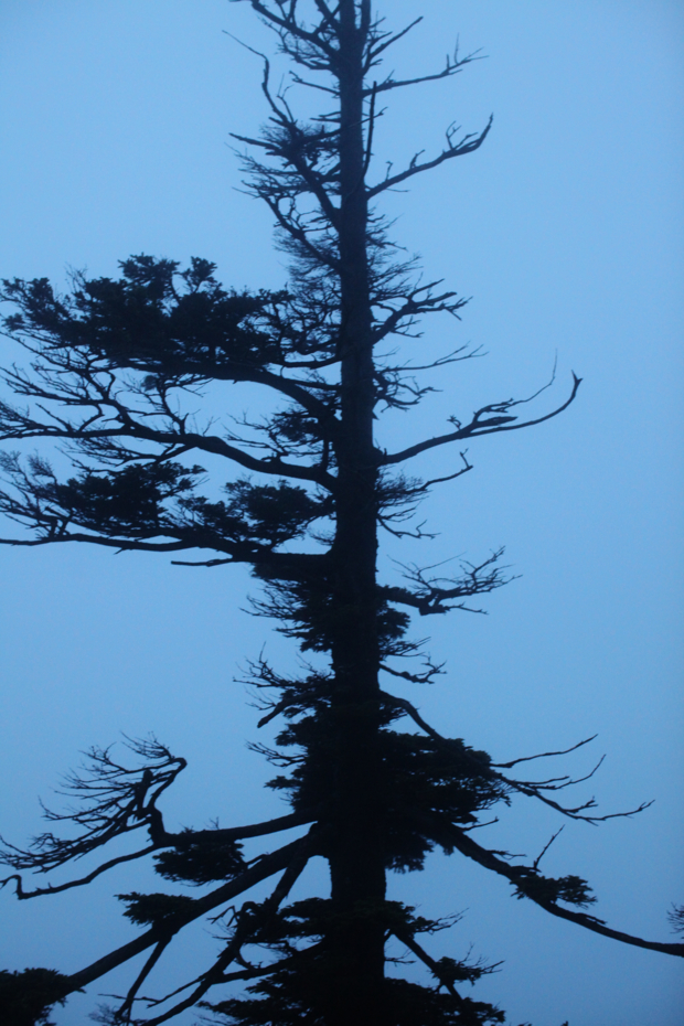 f:id:MAREOSIEV:20120717220421j:image