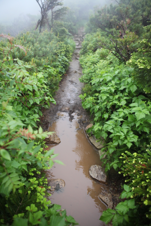 f:id:MAREOSIEV:20120721085638j:image