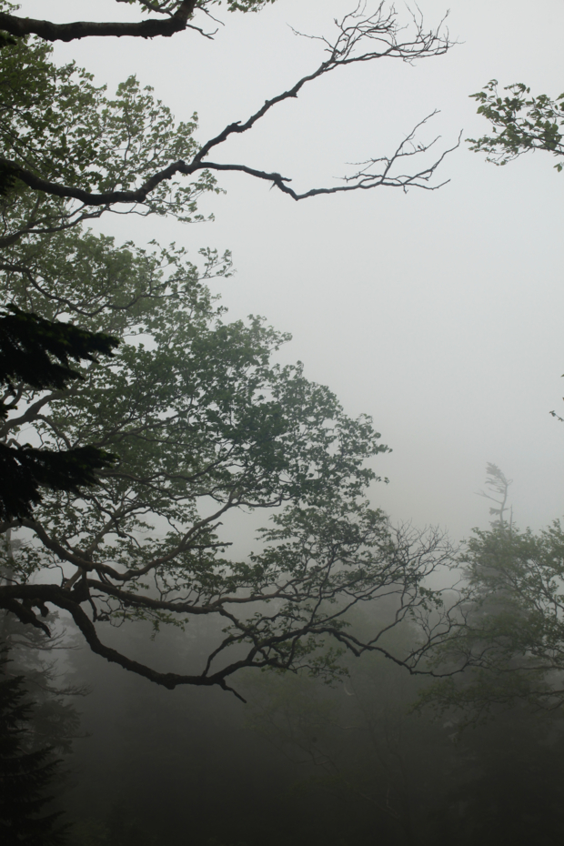 f:id:MAREOSIEV:20120808001432j:image