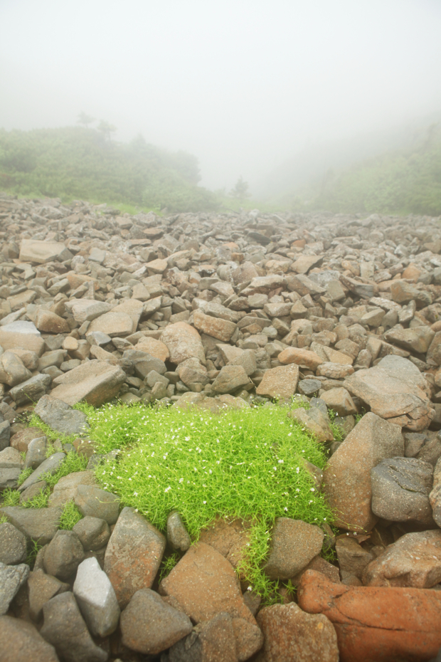 f:id:MAREOSIEV:20120811232057j:image