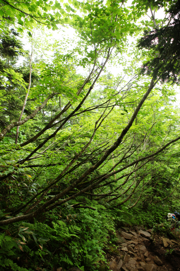 f:id:MAREOSIEV:20120811232110j:image