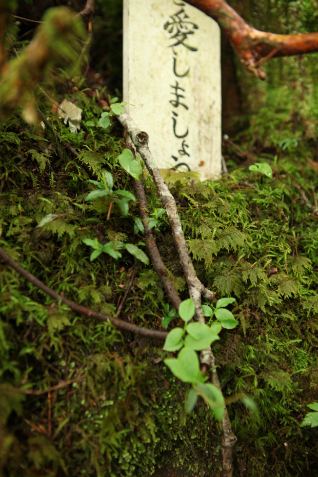 f:id:MAREOSIEV:20120811232112j:image