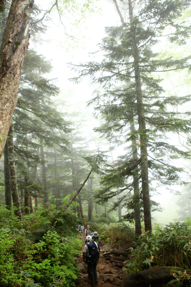 f:id:MAREOSIEV:20120812010712j:image