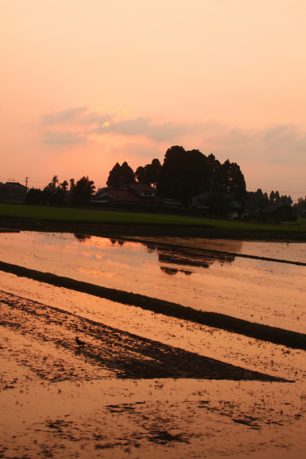 f:id:MAREOSIEV:20120812011712j:image f:id:MAREOSIEV:20120812011712j:image