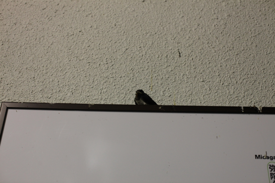 f:id:MAREOSIEV:20120812011722j:image f:id:MAREOSIEV:20120812011722j:image